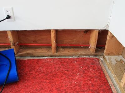 Professional mold remediation services in Marlboro